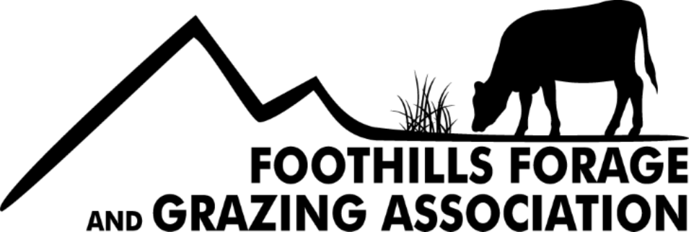 FFGA Black transparent