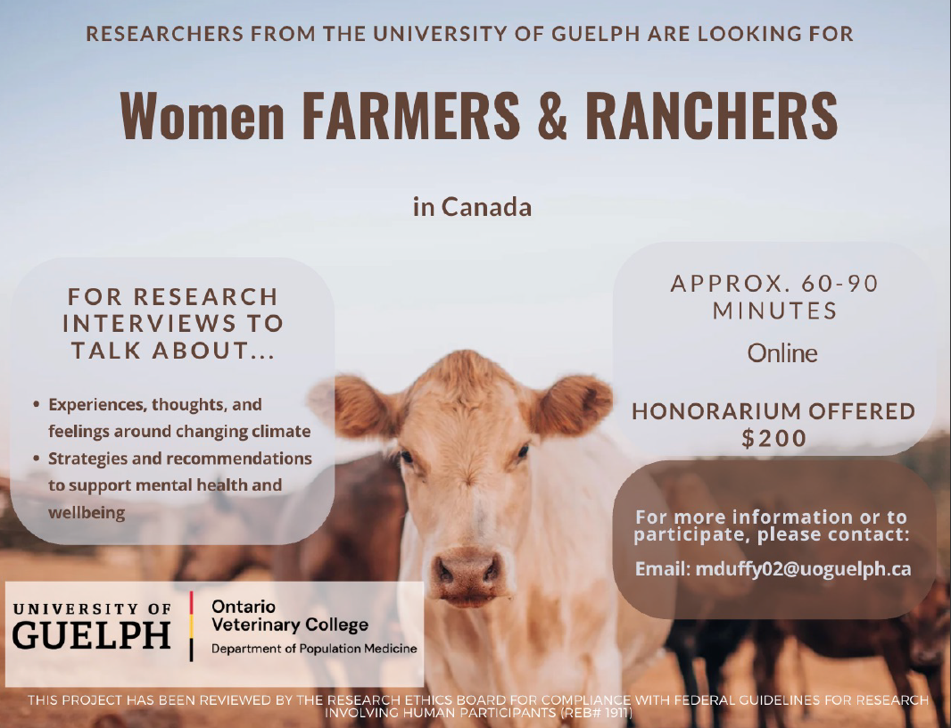 Screenshot 2026 03 04 112922