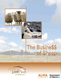 Business of sheep cover