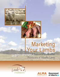 Marketing your lambs cover